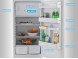 Дверь морозильной камеры в сборе с резиной холодильников Stinol 232 (C00859990, 859990)